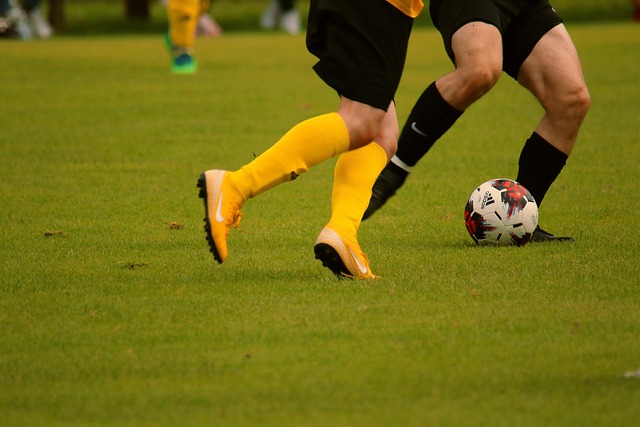 除此之外 除此之外