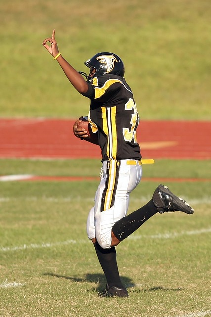 青岛海牛在 青岛海牛在