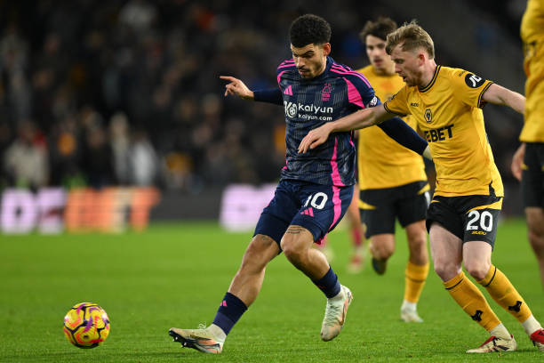 医疗平台 医疗平台