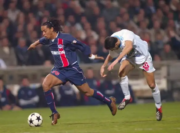 的敏锐嗅觉 的敏锐嗅觉